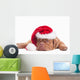Dog Dressed Like Santa Wall Decal