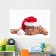 Dog Dressed Like Santa Wall Decal