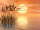 Grass Sunset mid Wall Decal Design 2