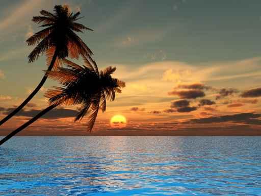 Oceania Xs Wall Decal