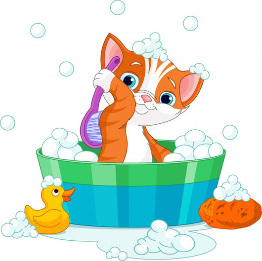 Grooming bathing Cat Wall Decal