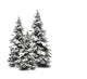 Pine trees isolated on white Wall Decal
