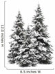 Pine trees isolated on white Wall Decal