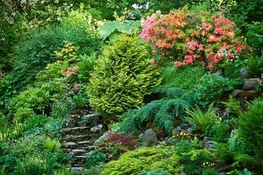 Rockery with Rhododendrons Wall Decal