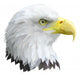 Eagle Wall Decal