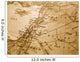 Israel Wall Mural