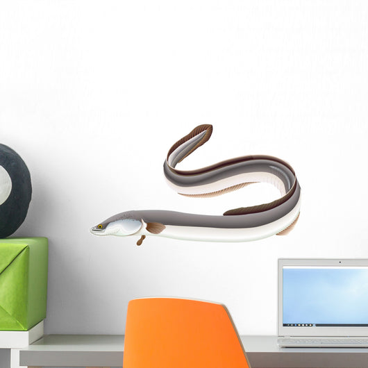 Poissons - Anguille Wall Decal