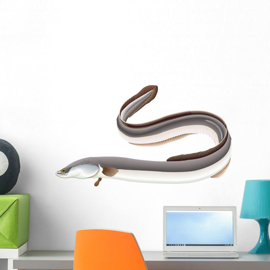 Poissons - Anguille Wall Decal