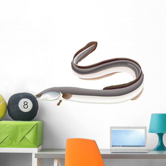 Poissons - Anguille Wall Decal