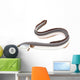 Poissons - Anguille Wall Decal