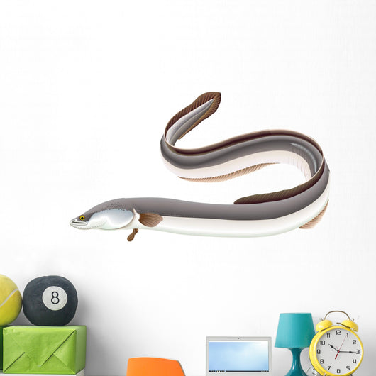 Poissons - Anguille Wall Decal