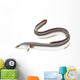 Poissons - Anguille Wall Decal