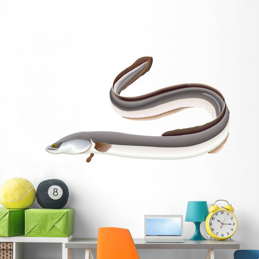 Poissons - Anguille Wall Decal