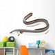 Poissons - Anguille Wall Decal