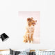 Red Merl Australian Shepherd Wall Mural
