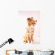 Red Merl Australian Shepherd Wall Mural