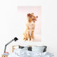 Red Merl Australian Shepherd Wall Mural