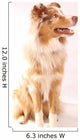 Red Merl Australian Shepherd Wall Mural