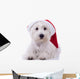 Santa Westie Looking at the Camera Wall Mural
