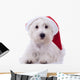 Santa Westie Looking at the Camera Wall Mural