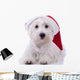 Santa Westie Looking at the Camera Wall Mural