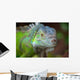 Iguana Wall Mural