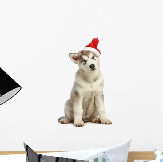 Malamute Puppy in Christmas Hat Wall Decal