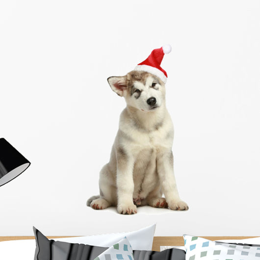 Malamute Puppy in Christmas Hat Wall Decal