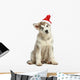 Malamute Puppy in Christmas Hat Wall Decal