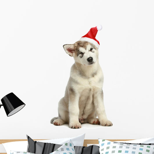 Malamute Puppy in Christmas Hat Wall Decal
