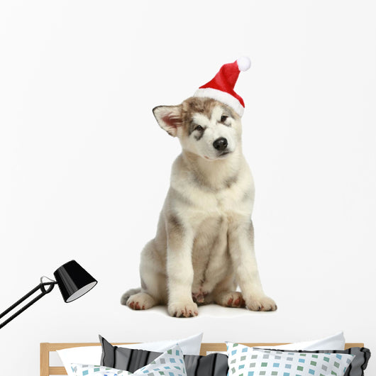 Malamute Puppy in Christmas Hat Wall Decal