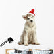 Malamute Puppy in Christmas Hat Wall Decal