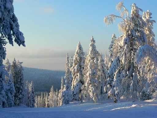 Lapland Wall Decal Design 3