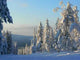 Lapland Wall Decal Design 3