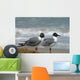 Laughing Gulls