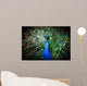 Beautiful peacock Wall Mural