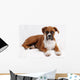 boxer Wall Decal
