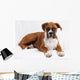 boxer Wall Decal
