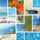 Tropical Collage Exotic Travel