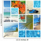 Tropical Collage Exotic Travel