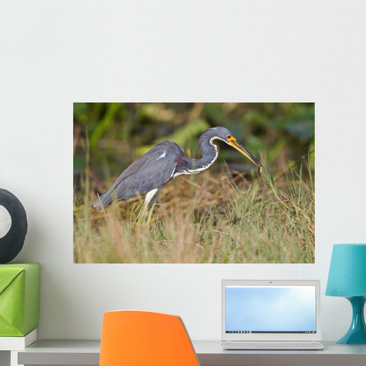 Erflogreicher Heron Wall Mural