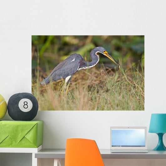 Erflogreicher Heron Wall Mural