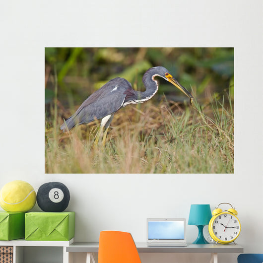 Erflogreicher Heron Wall Mural
