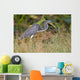 Erflogreicher Heron Wall Mural