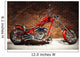 chopper Wall Mural