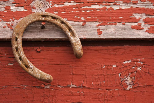lucky charm Wall Mural
