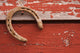 lucky charm Wall Mural