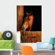 Horse Portrait Wall Mural