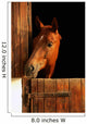 Horse Portrait Wall Mural