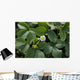 Strawberry Plant Wall Decal